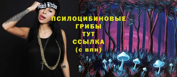 прущие грибы Алексеевка